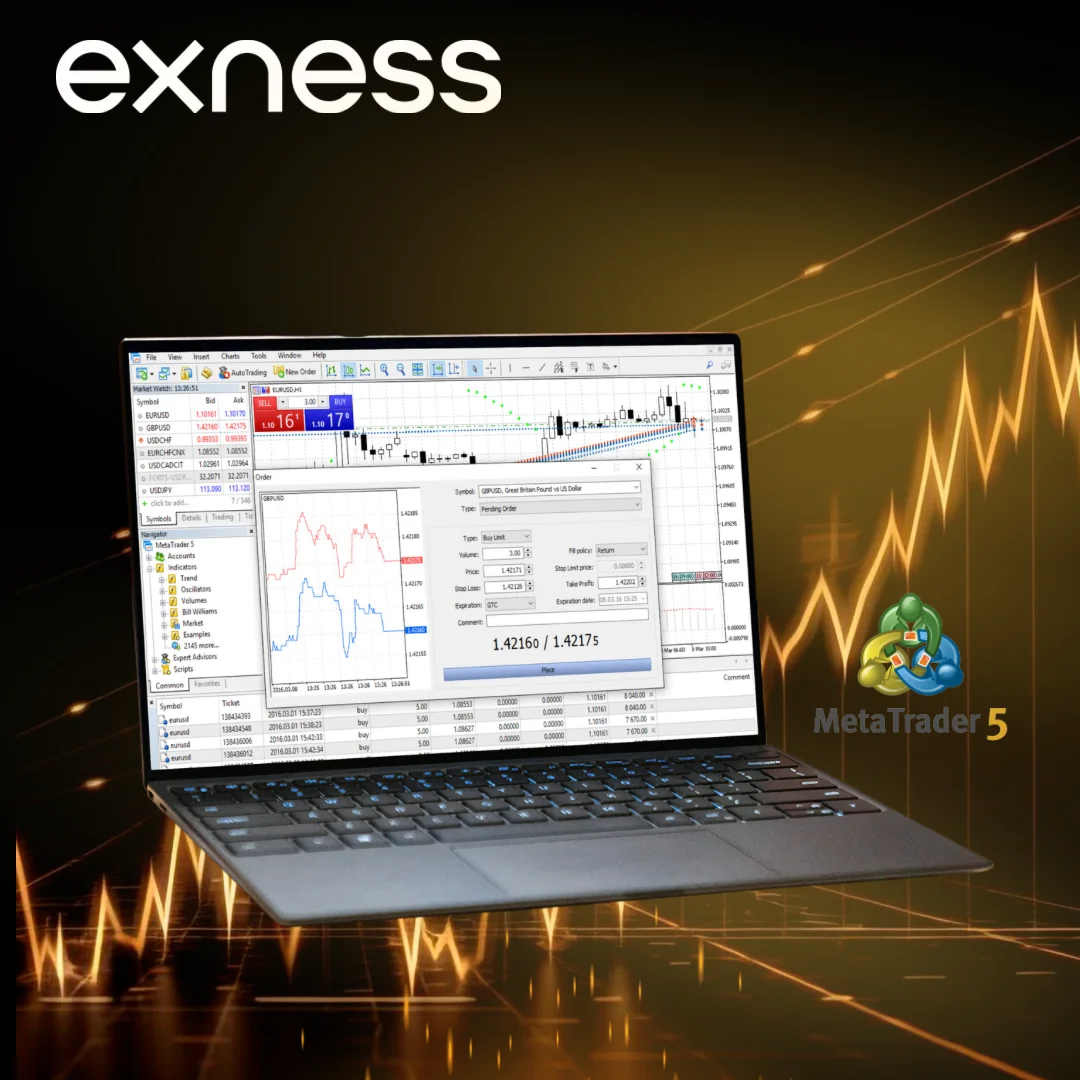 Live Exness Platform Services - How To Do It Right