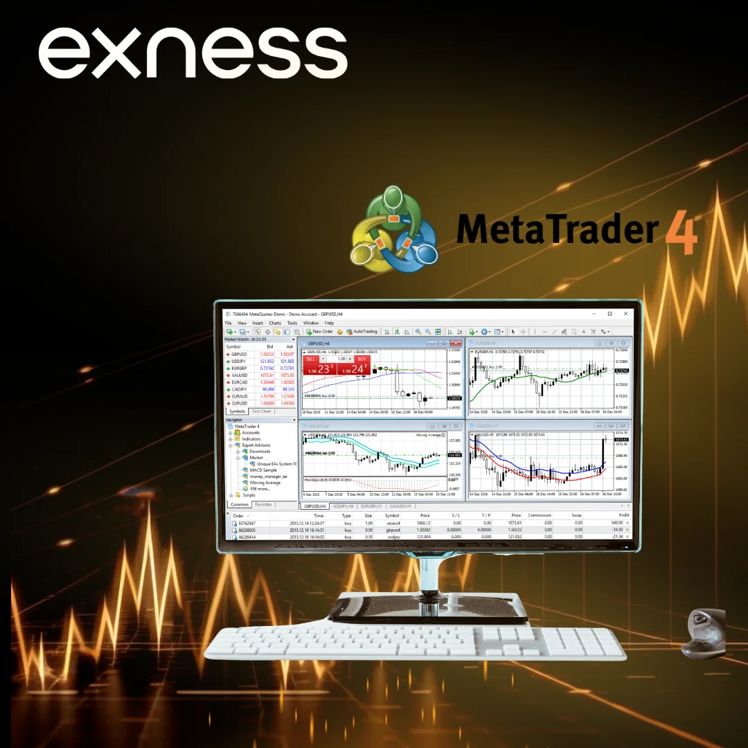 Exness MT4